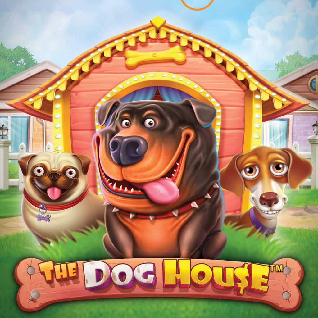 Dog House